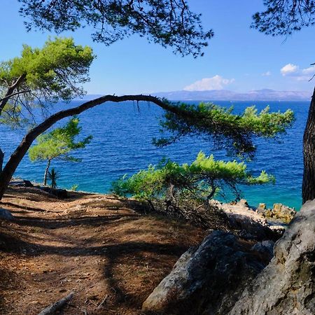 Vila Vita Donje Selo na Šolti Buitenkant foto